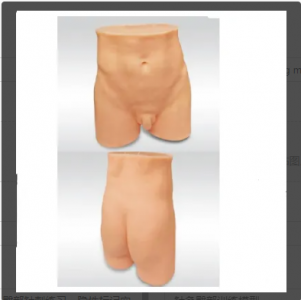 Hip acupuncture skill improvement training model