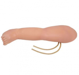 How to operate an infant leg venipuncture model?