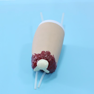 How to effectively use traumatic limb hemostasis model to improve the training effect of first aid skills?