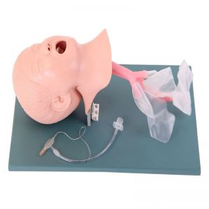 What is the key role of children's tracheal intubation models in medical education?