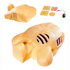 The thoracic puncture drainage model will simulate the real operation scene