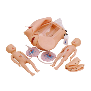 Teaching model of childbirth Mechanism: Can the whole process of childbirth be truly reproduced?