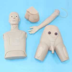 What is the role of male catheterization models in reducing catheterization complications?