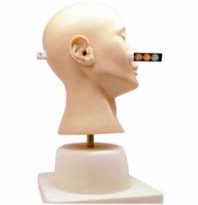 How can ear diagnosis model shorten the adaptation period of medical staff