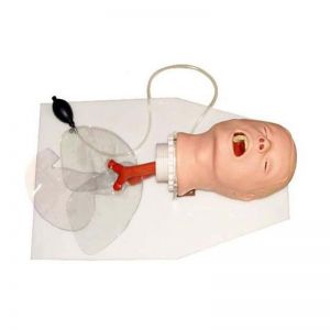 Classical tracheal intubation training model: whether it can simulate real intubation scenes