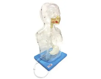 How to shorten learning cycle with transparent gastric lavage model in children