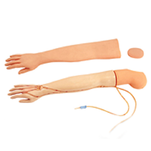 What is the importance of venipuncture infusion arm model
