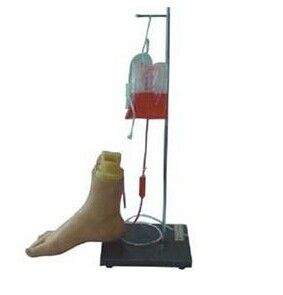Foot intravenous injection model: The starting point of the skill challenge