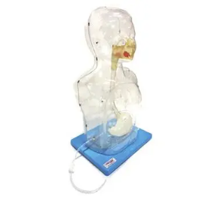 Pediatric multifunctional gastric lavage model: Become your accelerator to improve skills