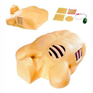 Thoracic puncture drainage model: Can you make your operation more accurate?