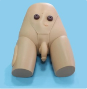 Male catheterization model: A weapon for combat exercises?
