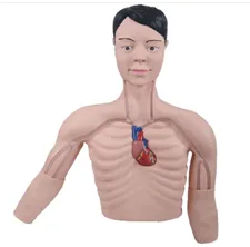 PICC intervention training Model: From