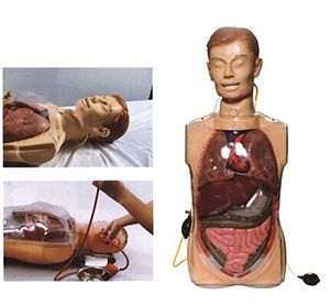 Clear gastric lavage model: Can it effectively cope with clinical gastric lavage?