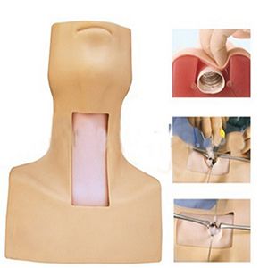 Tracheotomy intubation training model: What has it changed?