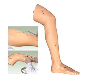 Surgical leg suture training Model: What is unique about it?