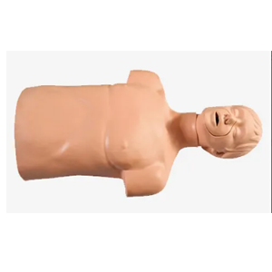 Why choose adult airway infarction and CPR model for skills training?
