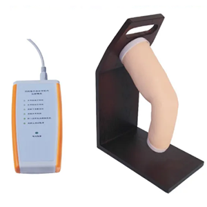 What teaching support can the elbow joint model provide?