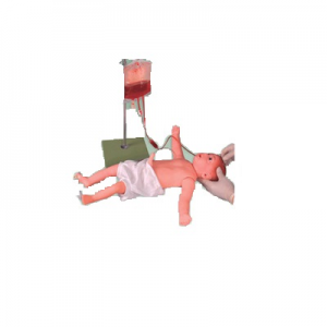 Can infantile venipuncesis model provide effective support for clinical first aid training?