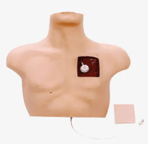 Can the intravenous intervention training model help beginners acquire key skills quickly?