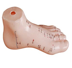 Can foot acupuncture model break through the bottleneck of actual operation in foot acupuncture treatment?
