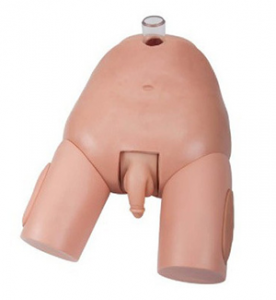 Advanced Male bladder puncture model: Can it fully simulate the clinical reality?