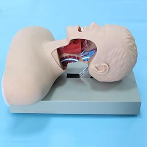 Advanced tracheal intubation training mode: provides a good practical training platform for medical students
