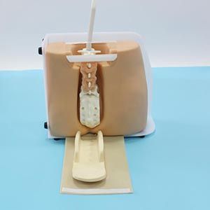 How to master the correct puncture Angle and depth through spinal tap model training?
