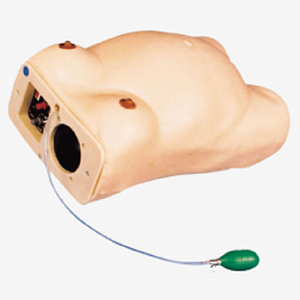 Advanced computerized pregnant woman examination model