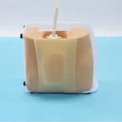 The clinical significance of spinal puncture models