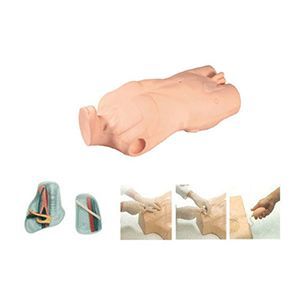 A full-function central venous puncture injection trunk model