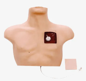 Venous intervention training model