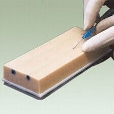 Venipuncture model