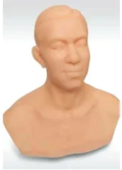 The usage method of the acupuncture head training model