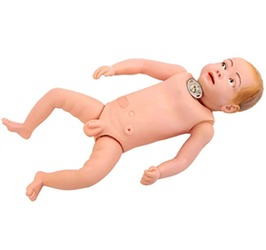 Infant tracheotomy care model