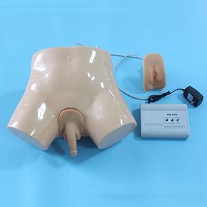 Precautions for the teaching practice model of electronic catheterization and enema