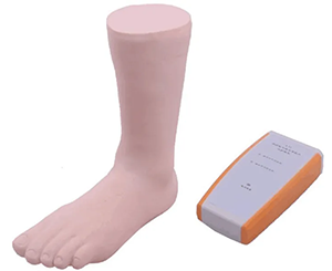 The role of the ankle puncture model