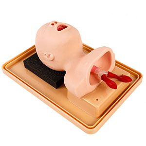 The advantages of the neonatal tracheal intubation training model