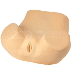 Posterior vaginal fornix puncture model