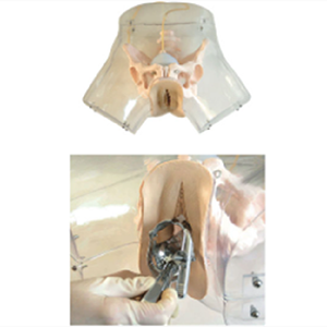 Application scenarios of advanced transparent film scraping models