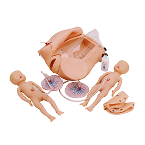 A series of models for teaching the mechanism of childbirth