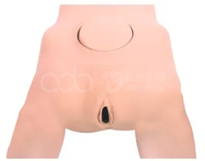 The significance of the pelvic measurement model