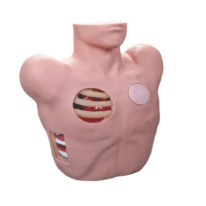 What problems does the thoracic vertebra puncture and drainage model solve