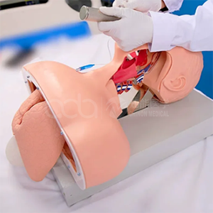 BIX-J51 Guide: Preventing Esophageal Intubation with an Electronic Airway Trainer