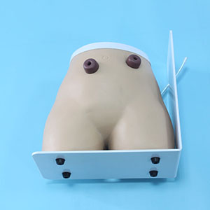 fistula stomy nursing model