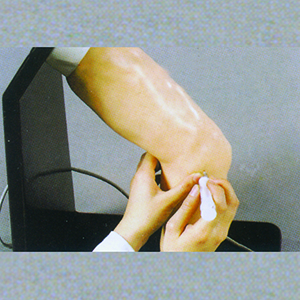 Elbow Intraluminal injection model