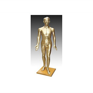 Acupuncture bronze statue