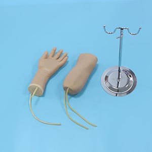 Combined hand and elbow vein training model