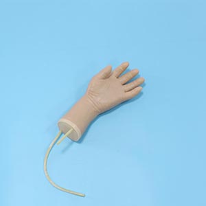 Combined hand and elbow vein training model