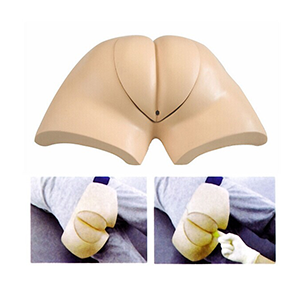 Artificial defecation training model