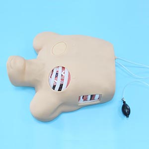 Chest Puncture Training Model.jpg